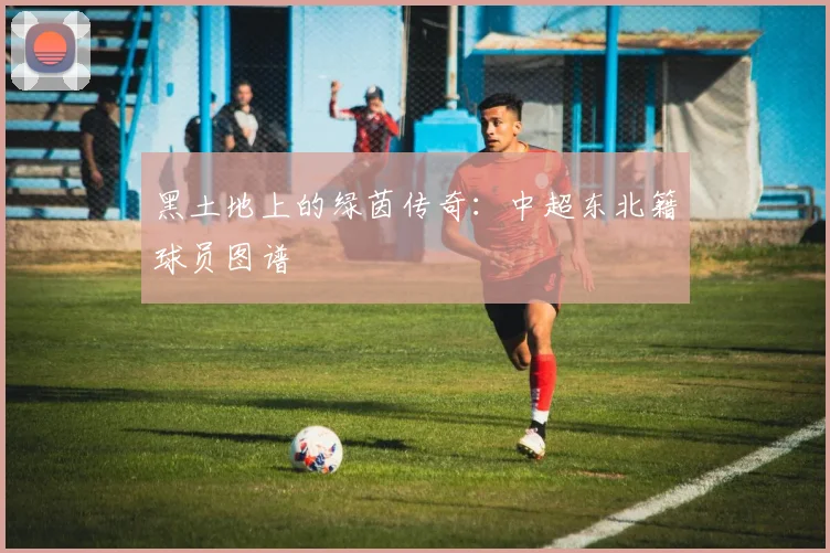 黑土地上的绿茵传奇：中超东北籍球员图谱