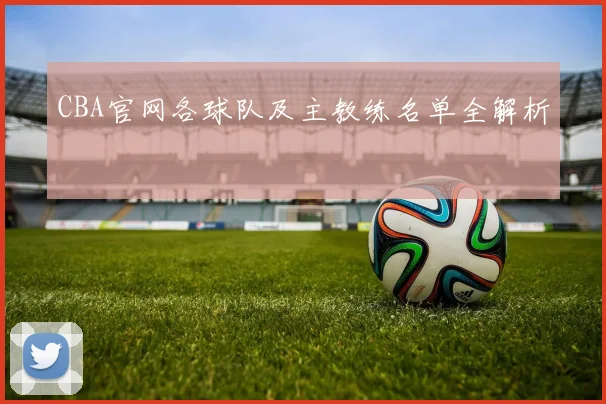 CBA官网各球队及主教练名单全解析