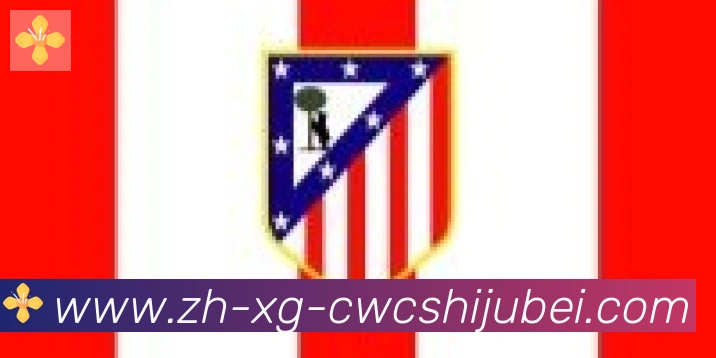 世界杯买球合作伙伴